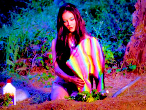  The Love Witch