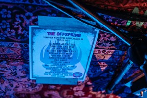  The Offspring live in Tampa, FL (May 6, 2022)