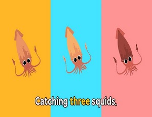  catching the squids