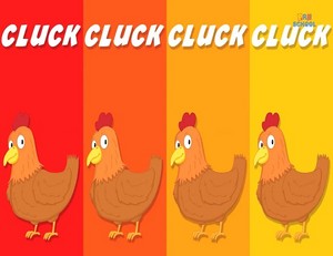  cluck
