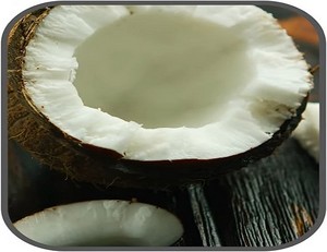  coconut