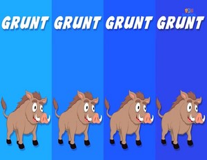  grunt