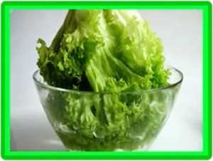 grüner salat, salat
