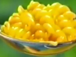 macaroni et fromage