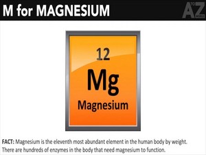  magnesium