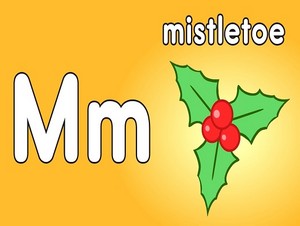  mistletoe