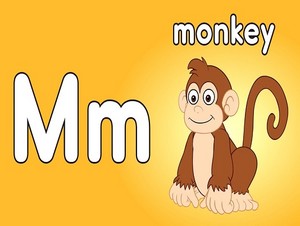  monkey