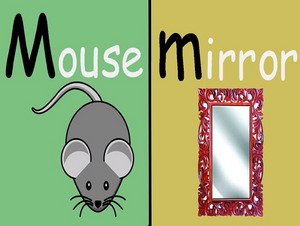  ratón mirror