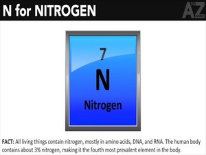  nitrogen