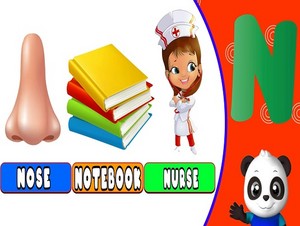  nose notebook nurse