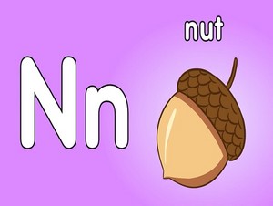  nut