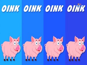  oink
