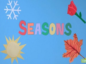  seasons