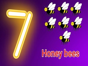  seven honey bees