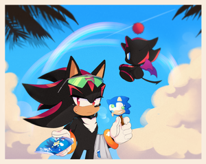 shadow and chao