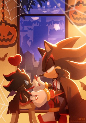  shadow and chao