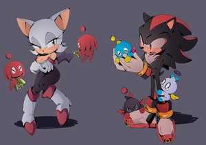 rouge and shadow