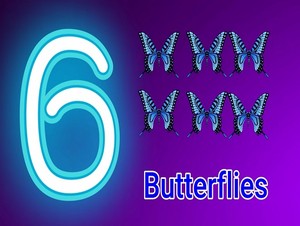  six Schmetterlinge