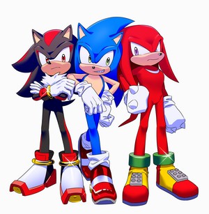  sonic♡knuckles◇shadow