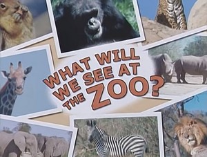  what will we see at the zoo