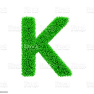 Alphabet Letter K Uppercase Grassy Font Made Of Fresh Green Grass