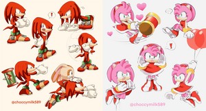  Amy and Knuckles