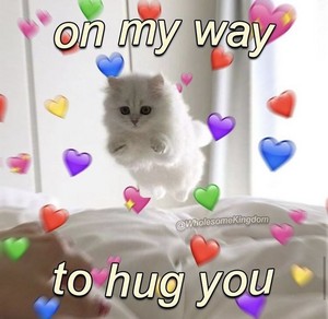Attention Kat hug from me to you xD🌸