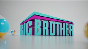  Big Brother 24