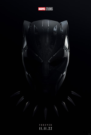  Black Panther: Wakanda Forever | 11.11.22