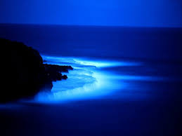  Blue Sea Hintergrund
