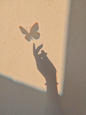  vlinder Dream 🦋