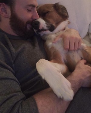  Chris Evans: "In my house, every день is International Dog Day"