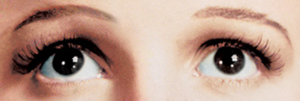  Dorothy's Eyes