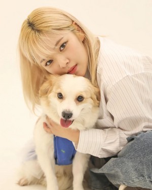 Jeongyeon x Ansung Animal Care Center 2023 Donation Calendar