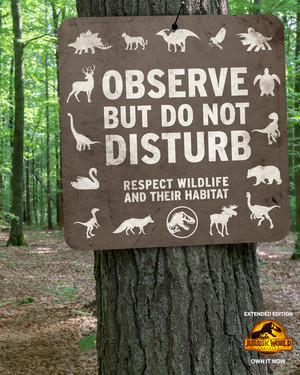 Jurassic World - National Wildlife Day Poster - Observe But Do Not Disturb