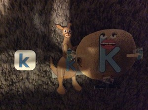 Kk - Kiwi