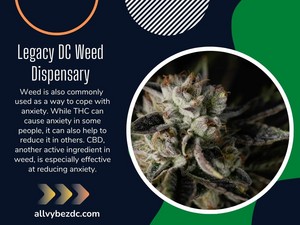  Legacy DC Weed dispensario