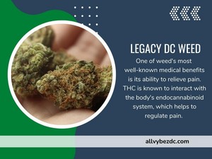  Legacy DC Weed