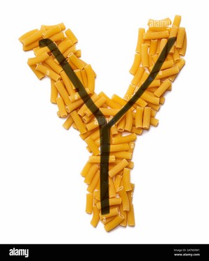 Letter Y of the English alphabet from dry pasta on a white
