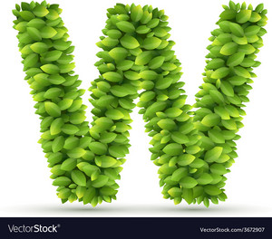 Letter w alphabet of green leaves Royalty Free Vector Image