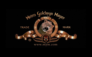  Metro-Goldwyn-Mayer Pictures