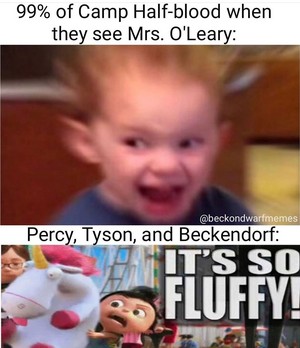  Mrs O'leary