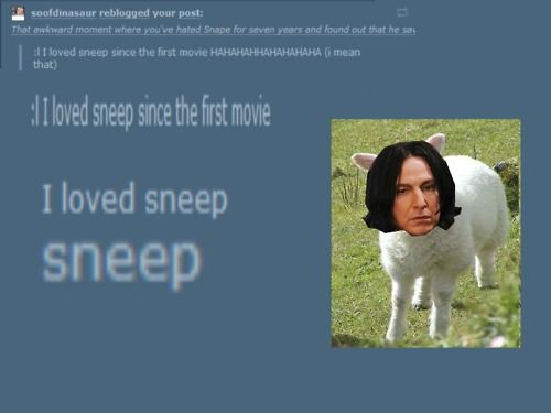 Severus Sneep
