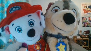 The Paw Patrol Wish You The Very Best With Everything