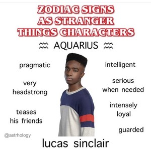  Zodiac Signs as Stranger Things Characters: Aquarius (January 20 – February 18)