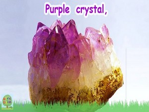  purple crystal