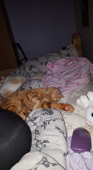  they both sleep together in my بستر