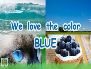  we Liebe the color blue