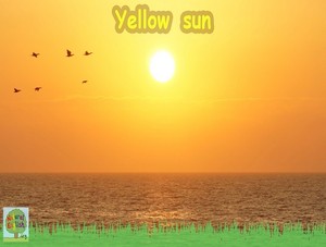  yellow sun