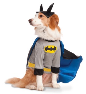  Batman dog